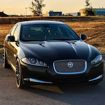 Jaguar in San Antonio, TX